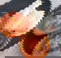 The Deck Poolside Bar  Restaurant - Tourism Gold Coast