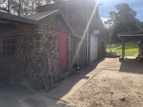 Wilmot Hills Orchard & Distillery - Tourism Gold Coast 1