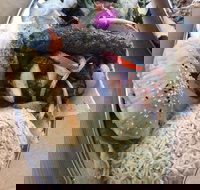 Arabella's Charcoal - Tourism Gold Coast