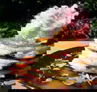 Darwin's - Tourism Gold Coast