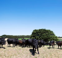 Hillock Downs Produce Store - Tourism Gold Coast