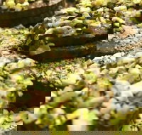 O' La La Sweets - Tourism Gold Coast