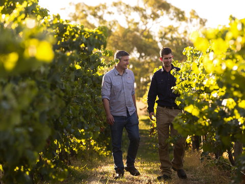 Patrick Of Coonawarra - Tourism Gold Coast 1