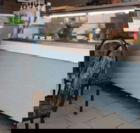 The Natural Cafe - Tourism Gold Coast