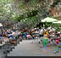 Apollonian Hotel - Tourism Gold Coast