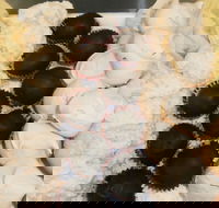 Uber Caf - Tourism Gold Coast