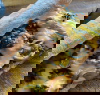 Philly Up - Tourism Gold Coast