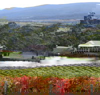 Milton Vineyard - Tourism Gold Coast