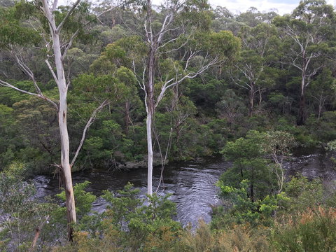 Mongarlowe Gourmet - Tourism Gold Coast 2