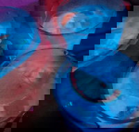 Humming Bird Dutch Cakes - Tourism Gold Coast