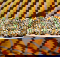 Sushi Hub Narellan - Tourism Gold Coast