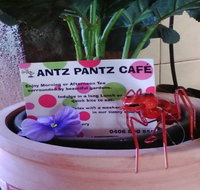 Antz Pantz Cafe - Tourism Gold Coast