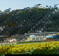 Moores Hill Estate - Tourism Gold Coast