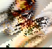 Portuguese Delights - Tourism Gold Coast