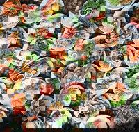 Thai Infinity Restaurant - Tourism Gold Coast