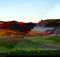 Dalwhinnie Wines - Tourism Gold Coast