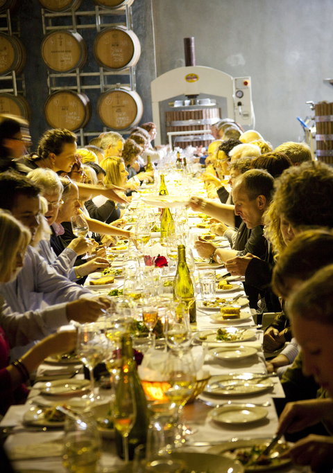 Dalwhinnie Wines - Tourism Gold Coast 2