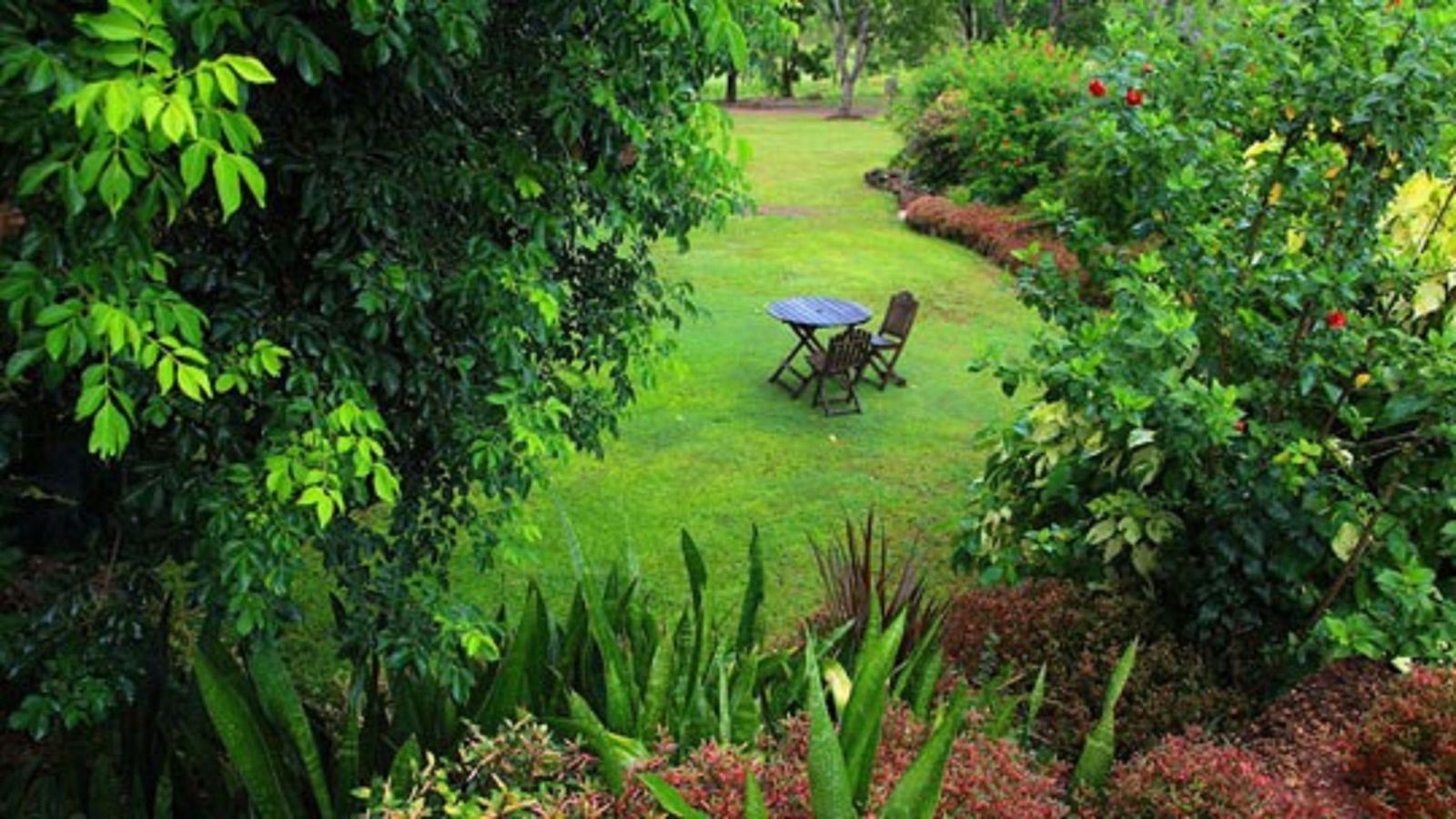 Emerald Springs NT Tourism Gold Coast