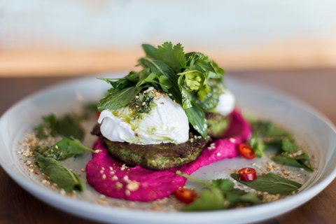 Native - Tourism Gold Coast 1