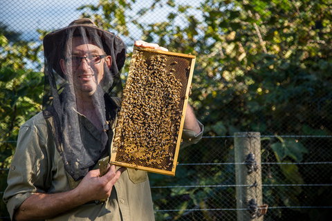 Pure Peninsula Honey - Tourism Gold Coast 0