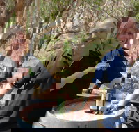 Sinclair's Gully - Tourism Gold Coast