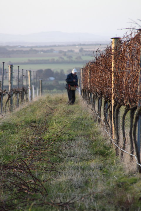 Barwon Ridge Wines - Tourism Gold Coast 2