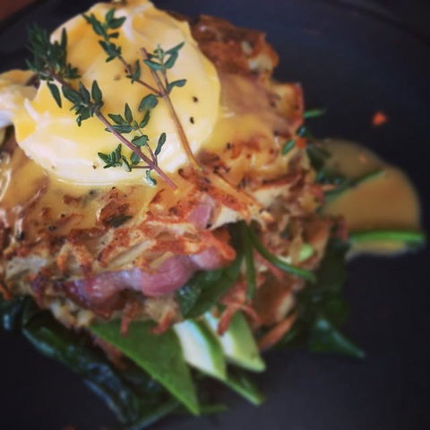 The Office On Harrogate - Tourism Gold Coast 0