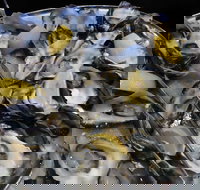 View 42o - Tourism Gold Coast