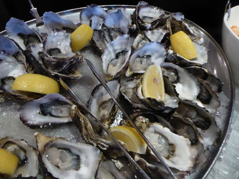 View 42o - Tourism Gold Coast 0