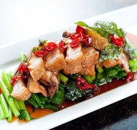 Holy Basil - Canley Heights - Tourism Gold Coast
