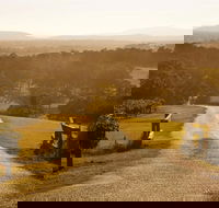Petersons Wines - Tourism Gold Coast