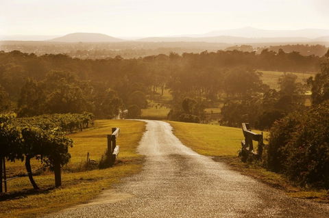 Petersons Wines - Tourism Gold Coast 0
