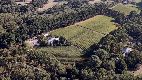 Main Ridge Estate - Tourism Gold Coast 1