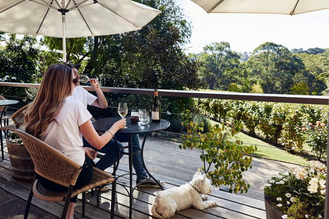 Main Ridge Estate - Tourism Gold Coast 2