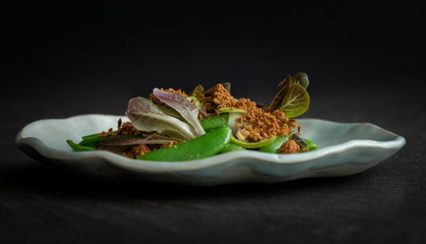 Subo - Tourism Gold Coast 2