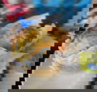 Black Duck Gourmet Pantry - Tourism Gold Coast