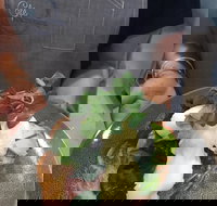 Cafe Macarthur - Tourism Gold Coast