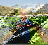 Hillwood Berries Farmgate  Pick Your Own - Tourism Gold Coast