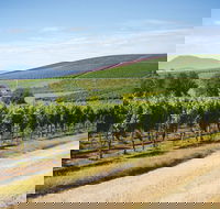 Jansz Tasmania - Tourism Gold Coast