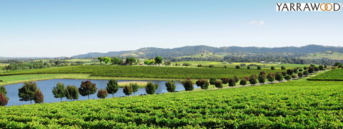 Yarrawood Estate - Tourism Gold Coast 2