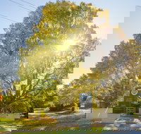 Brown Brothers Milawa Vineyard - Gold Coast