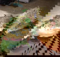 Cafe in the Mountains - Tourism Gold Coast