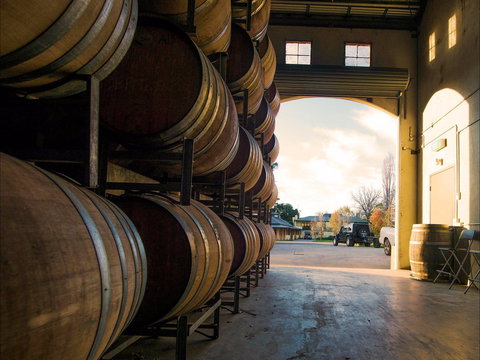 Eling Forest Cellar Door And Cafe - Tourism Gold Coast 2