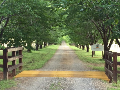 Stockmans Ridge Wines - Tourism Gold Coast 1