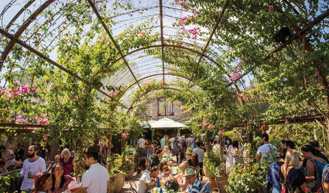 The Grounds Of Alexandria - Tourism Gold Coast 2