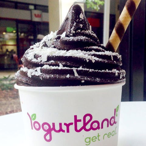 Yogurtland - Prairiewood - Tourism Gold Coast 0