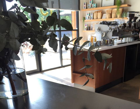 Sixpence Coffee Roasters - Tourism Gold Coast 2