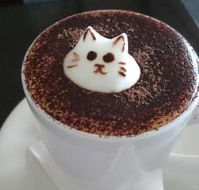 Cafe 2340 - Tourism Gold Coast