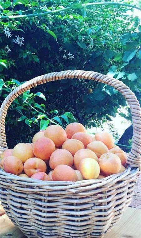 Cafe 63 Yeronga - Tourism Gold Coast 4