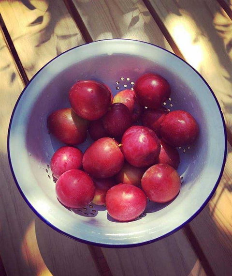 Cafe 63 Yeronga - Tourism Gold Coast 7